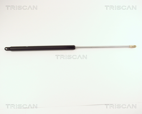 Triscan Gasveer, kofferruimte 8710 2904