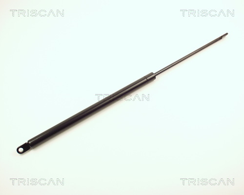 Triscan Gasveer, kofferruimte 8710 2906