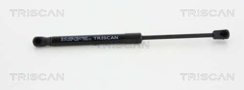 Triscan Gasveer, motorkap 8710 29134