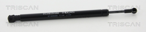Triscan Gasveer, kofferruimte 8710 292039