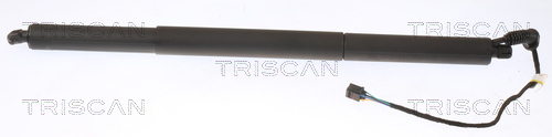 Triscan Gasveer, kofferruimte 8710 29306
