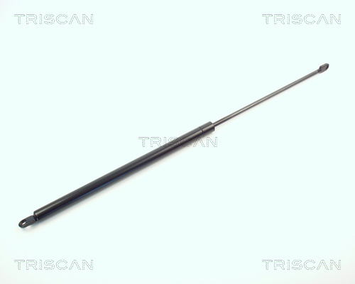 Triscan Gasveer, kofferruimte 8710 3806