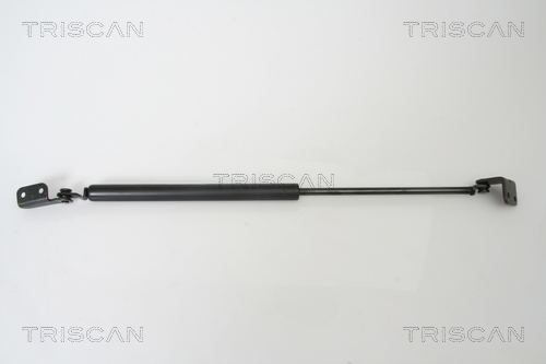 Triscan Gasveer, kofferruimte 8710 43221