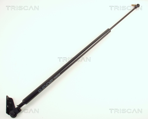 Triscan Gasveer, kofferruimte 8710 50201