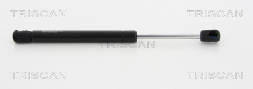 Triscan Gasveer, kofferruimte 8710 50249