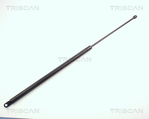 Triscan Gasveer, kofferruimte 8710 6506
