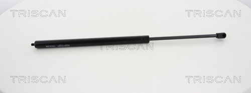 Triscan Gasveer, kofferruimte 8710 80208