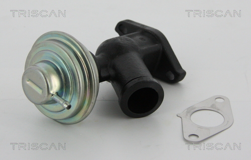 Triscan EGR-klep 8813 10011