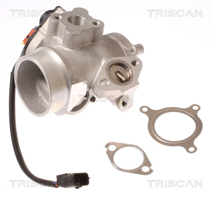 Triscan EGR-klep 8813 10012