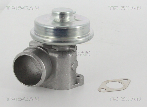 Triscan EGR-klep 8813 16010