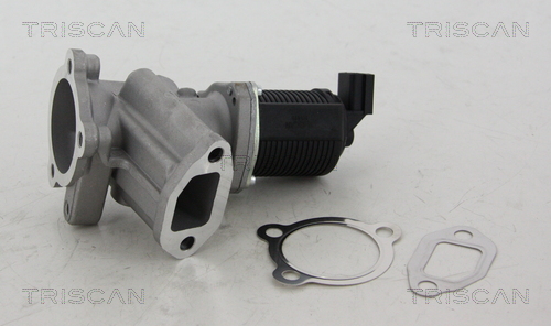 Triscan EGR-klep 8813 24012