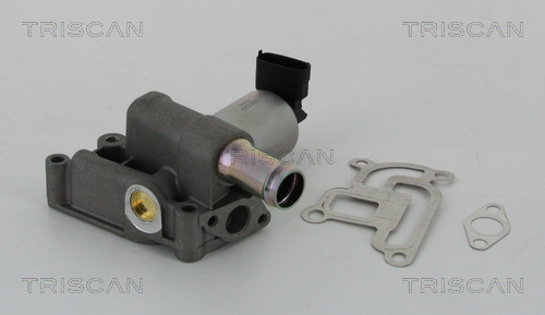 Triscan EGR-klep 8813 24200