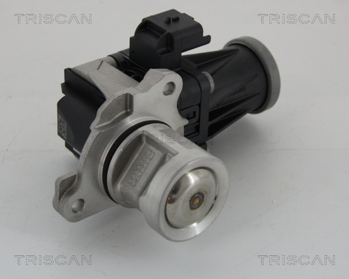 Triscan EGR-klep 8813 28005