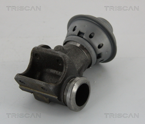 Triscan EGR-klep 8813 28013