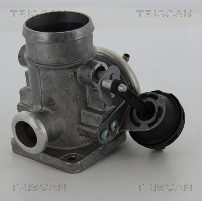 Triscan EGR-klep 8813 29300