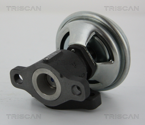 Triscan EGR-klep 8813 43005