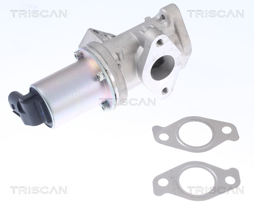 Triscan EGR-klep 8813 43024