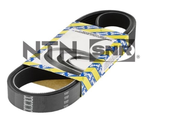 SNR Poly V-riem CA4SPK896