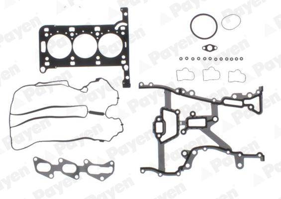 Payen Cilinderkop pakking set/kopset CE5950