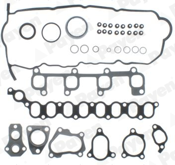 Payen Cilinderkop pakking set/kopset CG7480