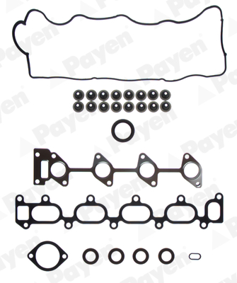 Payen Cilinderkop pakking set/kopset CG7920