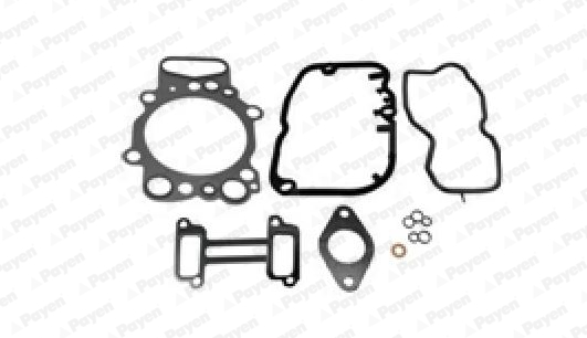 Payen Cilinderkop pakking set/kopset CH5671