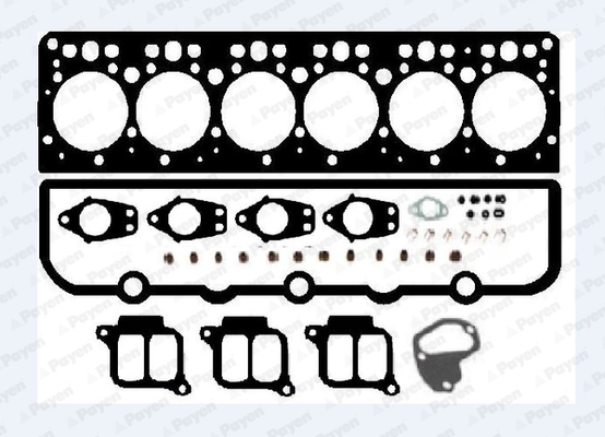 Payen Cilinderkop pakking set/kopset CS412