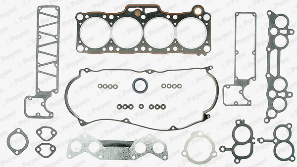 Payen Cilinderkop pakking set/kopset DL320