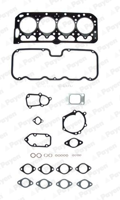 Payen Cilinderkop pakking set/kopset DL831