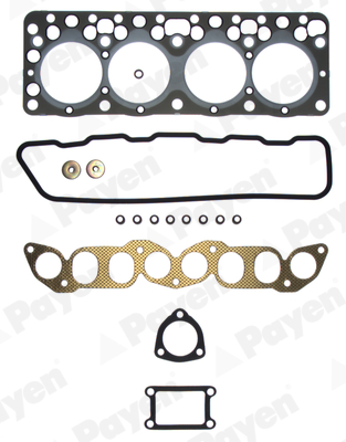 Payen Cilinderkop pakking set/kopset DM580