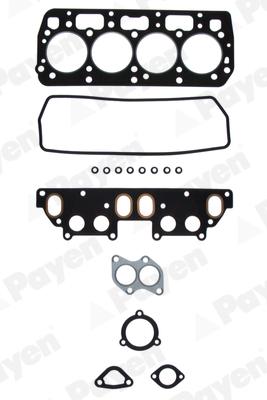 Payen Cilinderkop pakking set/kopset DT580