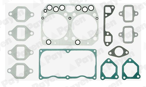 Payen Cilinderkop pakking set/kopset DV500