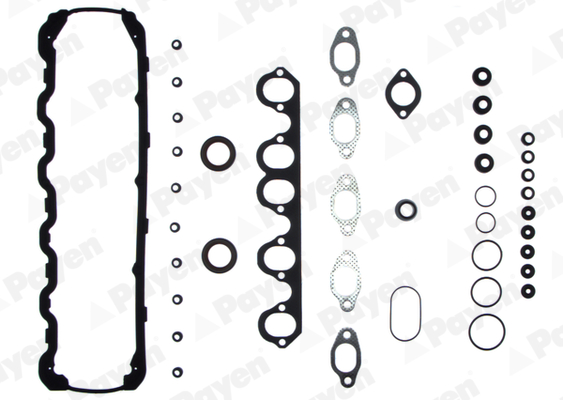 Payen Cilinderkop pakking set/kopset DW830