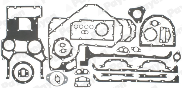 Payen Motorpakking EV570