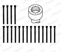 Payen Cilinderkopboutenset HBS061