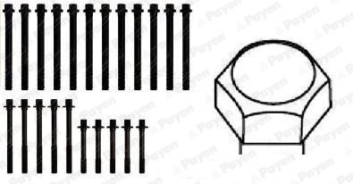 Payen Cilinderkopboutenset HBS106