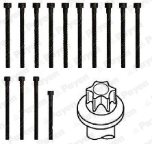 Payen Cilinderkopboutenset HBS468