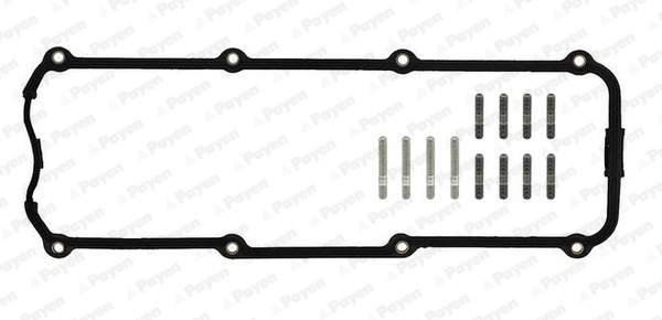 Payen Kleppendekselpakking HM5053