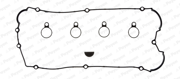 Payen Kleppendekselpakking HM5272