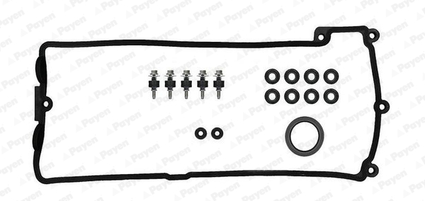 Payen Kleppendekselpakking HM5297