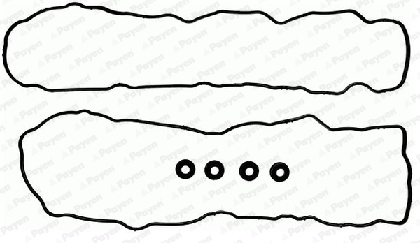 Payen Kleppendekselpakking HM5365