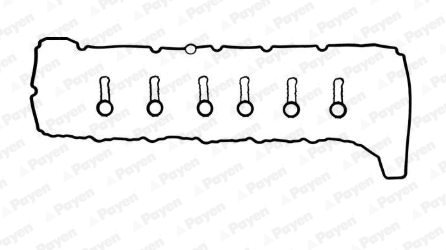 Payen Kleppendekselpakking HM5390