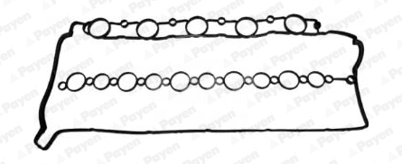 Payen Kleppendekselpakking JM7171