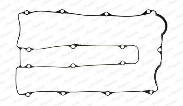 Payen Kleppendekselpakking JN717