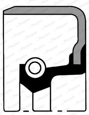 Payen Krukaskeerring NB818