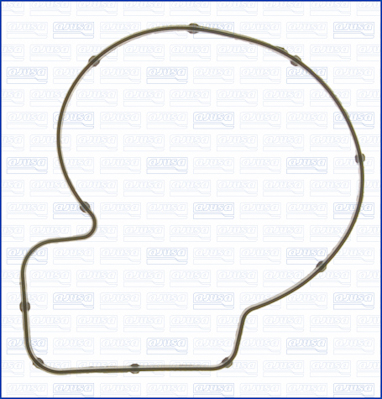 Ajusa Pakking, waterpomp 00972500