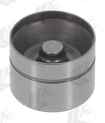 AE Klepstoter FOL131