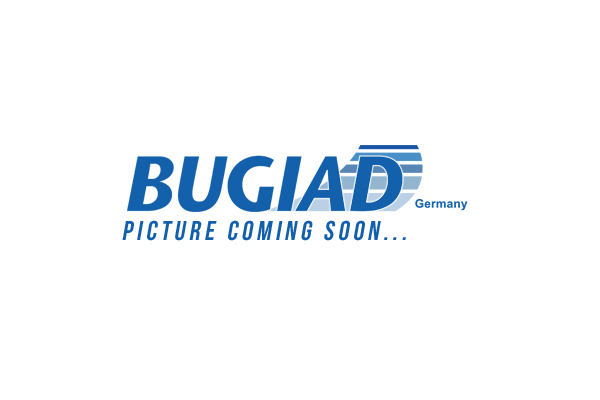 Bugiad Regeleenheid BTP40010