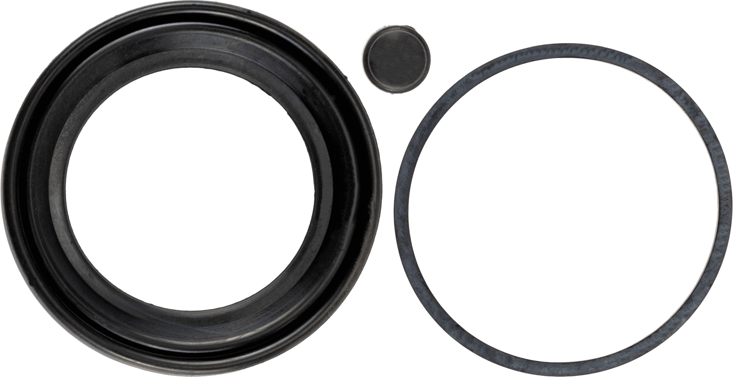 TRW Remklauw revisie SJ1481