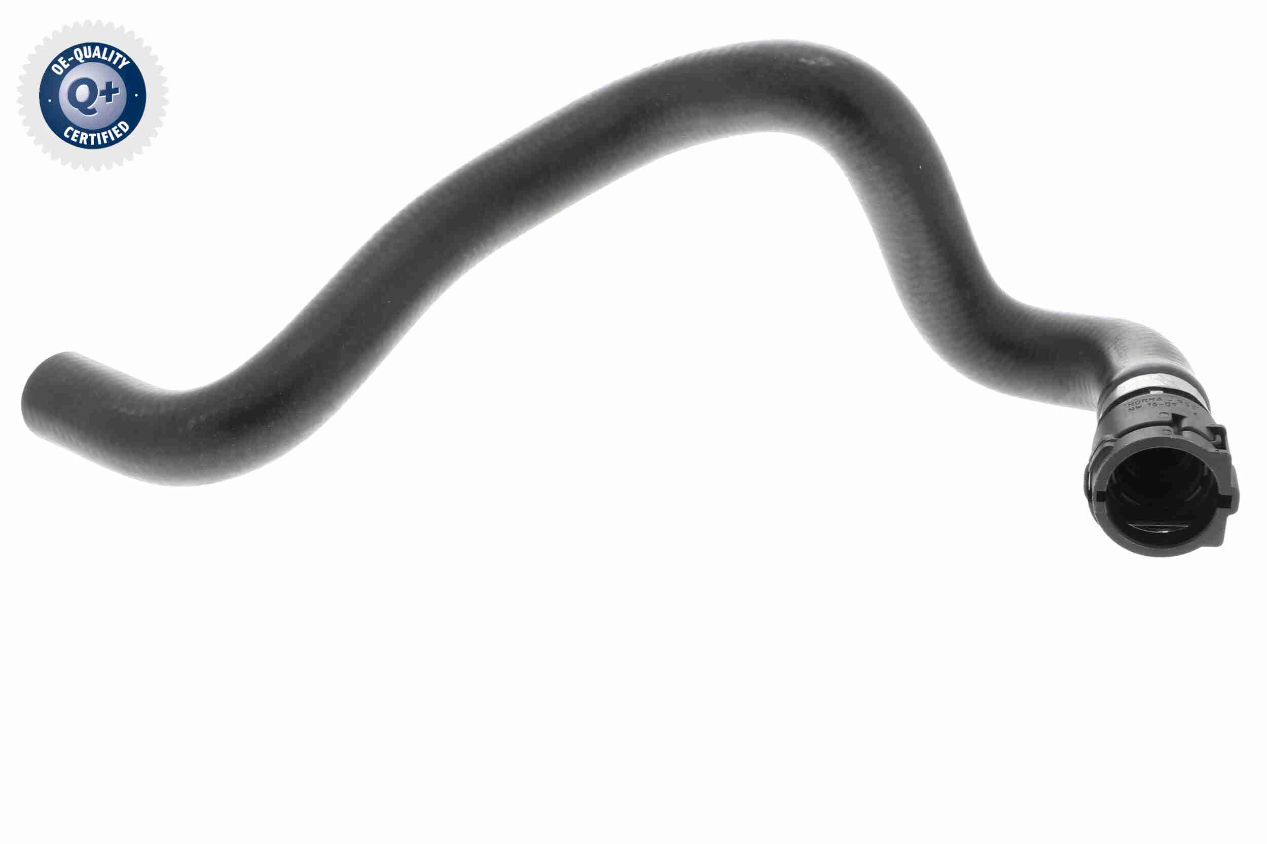 Vaico Slangen V10-4811